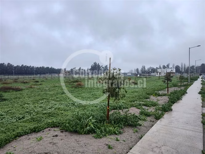 Sitio en Venta Liray / Santa Ester