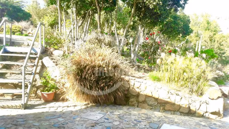 Parcela en venta en Curacaví