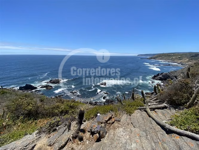 Sitio en venta en Pichilemu - Imagen 5