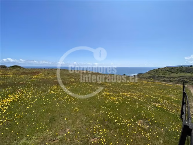 Sitio en venta en Pichilemu - Imagen 11