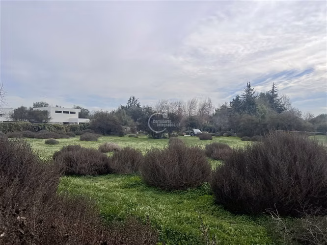 Sitio venta orilla cancha Golf Las Brisas Chicureo, sector B