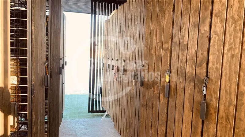 Sitio en venta en Colina - Imagen 8