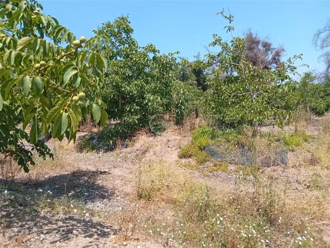 Parcela en venta en Nogales