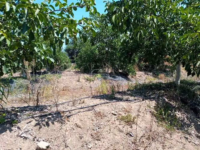 Parcela en venta en Nogales