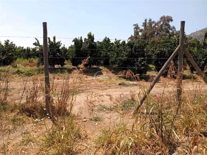 Parcela en venta en Nogales