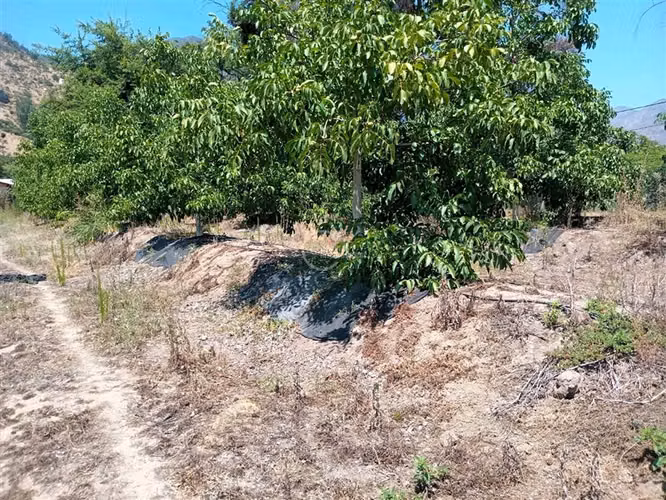 Parcela en venta en Nogales