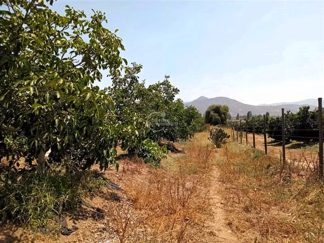 Parcela en venta en Nogales