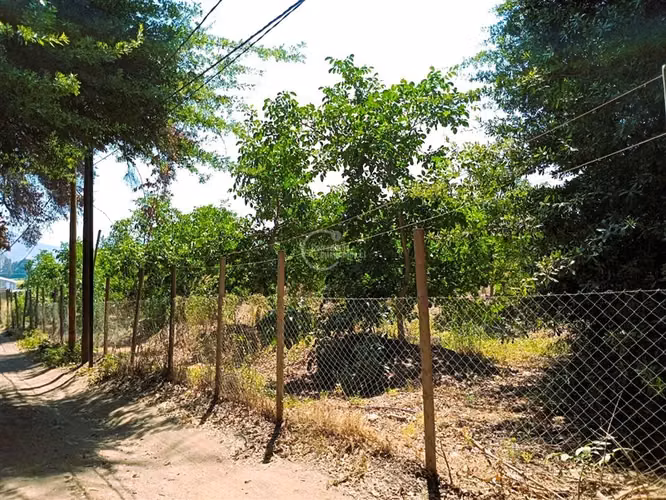 Parcela en venta en Nogales