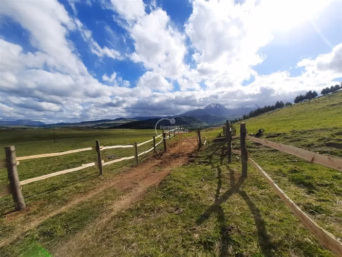 10.000 m2, con factibilidad de Agua y Luz, en Coihaique