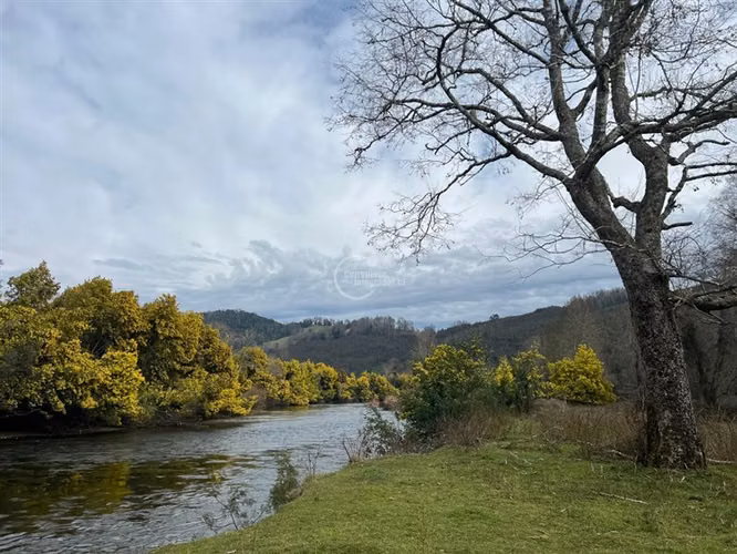 8 Parcelas con Rio, Laguna, Luz y Agua de Vertiente