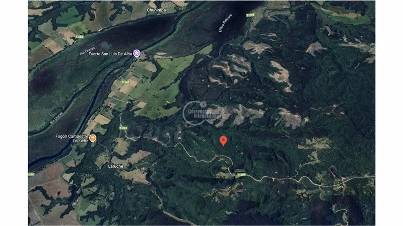 400.000 m2 terreno agrícola Luz y Agua solo 8 Mill/Hectárea