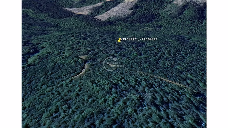 400.000 m2 terreno agrícola Luz y Agua solo 8 Mill/Hectárea