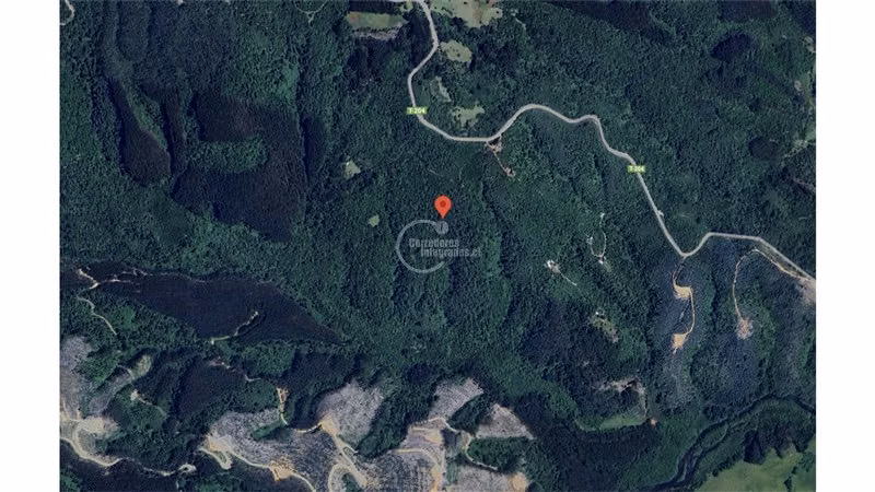 400.000 m2 terreno agrícola Luz y Agua solo 8 Mill/Hectárea