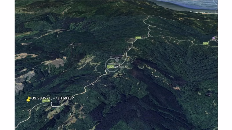 400.000 m2 terreno agrícola Luz y Agua solo 8 Mill/Hectárea