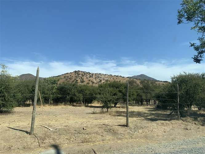 Agrícola en venta en Curacaví - Imagen 17