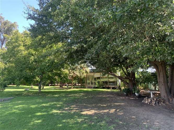 Agrícola en venta en Curacaví - Imagen 14