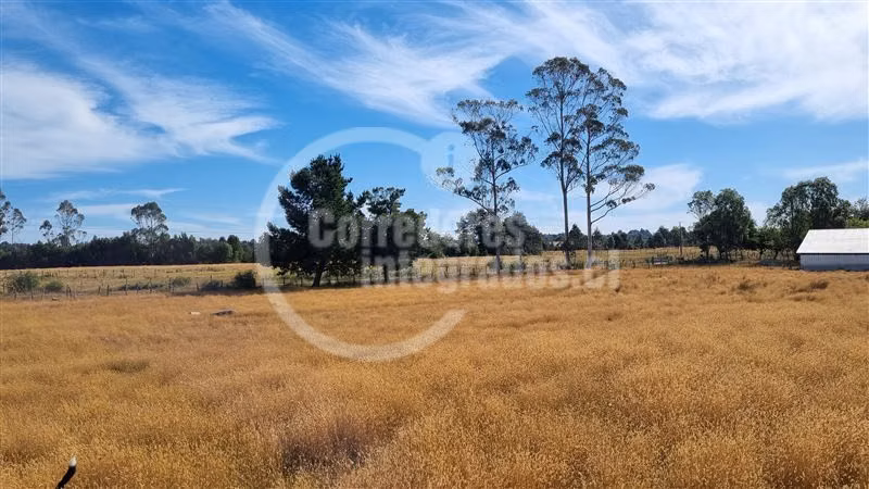 6,5 Hectáreas de terreno agrícola en Mauulin.