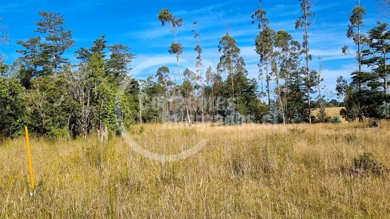 6,5 Hectáreas de terreno agrícola en Mauulin.