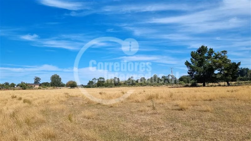 6,5 Hectáreas de terreno agrícola en Mauulin.