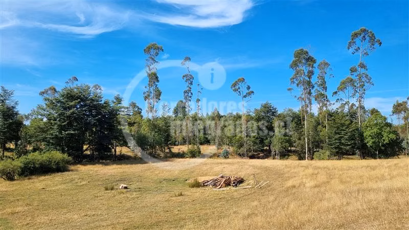 6,5 Hectáreas de terreno agrícola en Mauulin.
