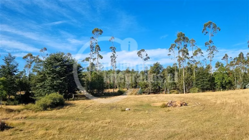 6,5 Hectáreas de terreno agrícola en Mauulin.