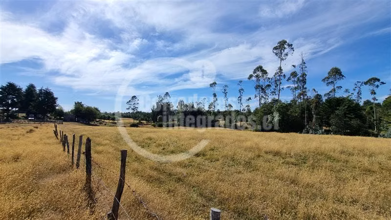 6,5 Hectáreas de terreno agrícola en Mauulin.