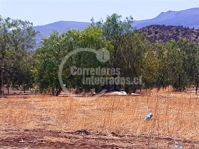 Parcela en venta en Colina