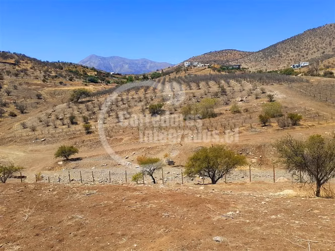 Parcela en venta en Colina