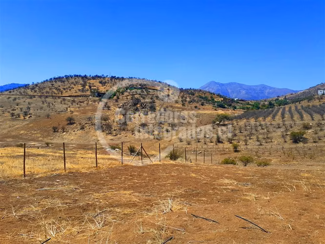 Parcela en venta en Colina