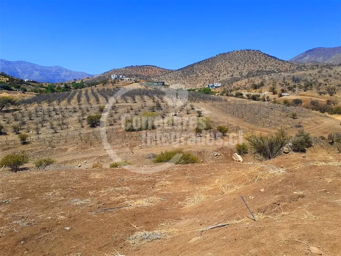 Parcela en venta en Colina - Imagen 9
