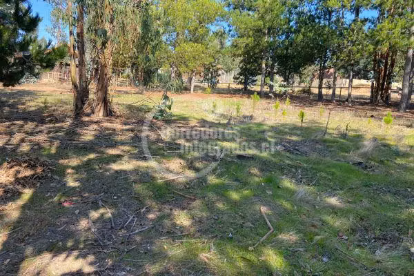 Parcela en venta en ALGARROBO - Imagen 3
