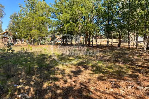 Parcela en venta en ALGARROBO - Imagen 4
