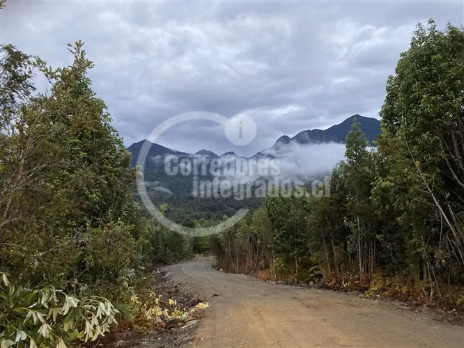 Parcelas agrícolas en sector Correntoso comuna Puerto Montt