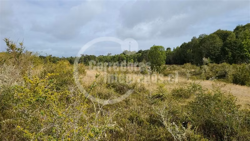 Venta 51 héctareas en Quemchi, Los Lagos