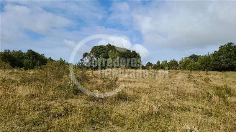 Venta 51 héctareas en Quemchi, Los Lagos