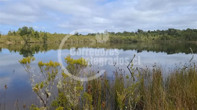 Venta 51 héctareas en Quemchi, Los Lagos