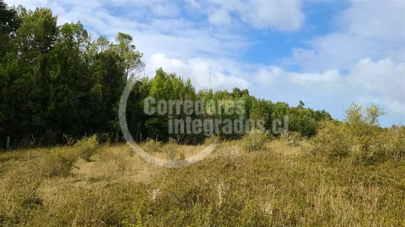 Venta 51 héctareas en Quemchi, Los Lagos