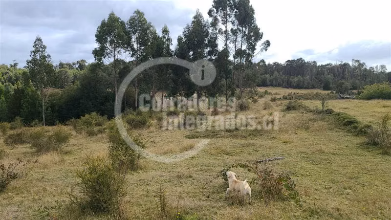Venta 51 héctareas en Quemchi, Los Lagos