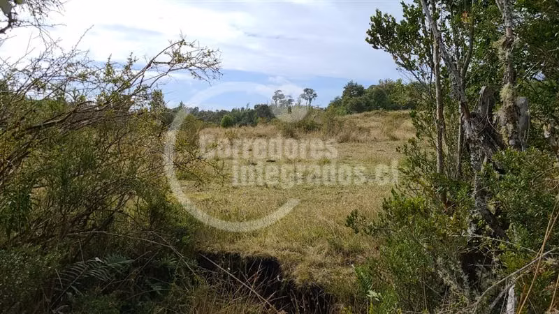 Venta 51 héctareas en Quemchi, Los Lagos