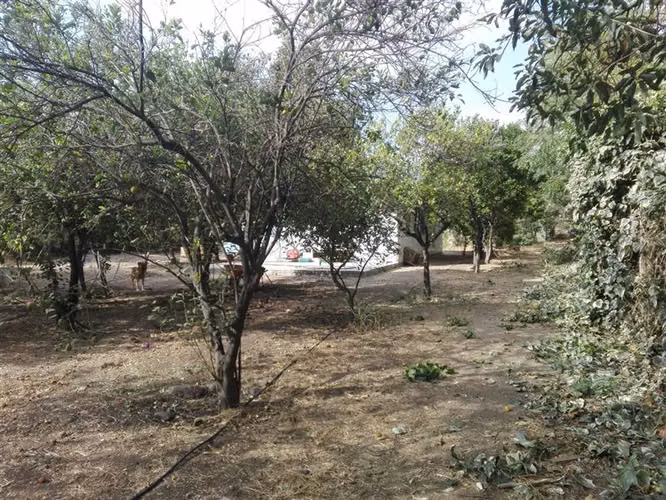 Sitio en venta en Lampa-5 terrenos de 1.000 m2.- 2.55 UF m2