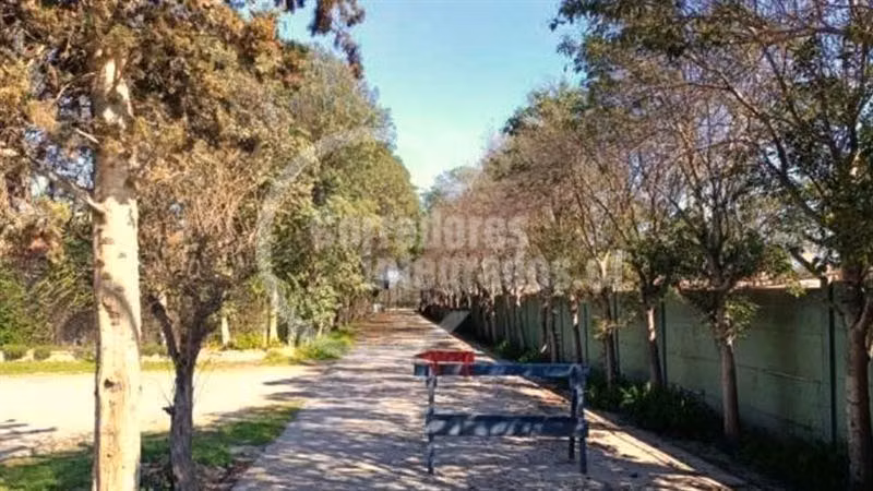 Parcela en venta en Buin - Imagen 16