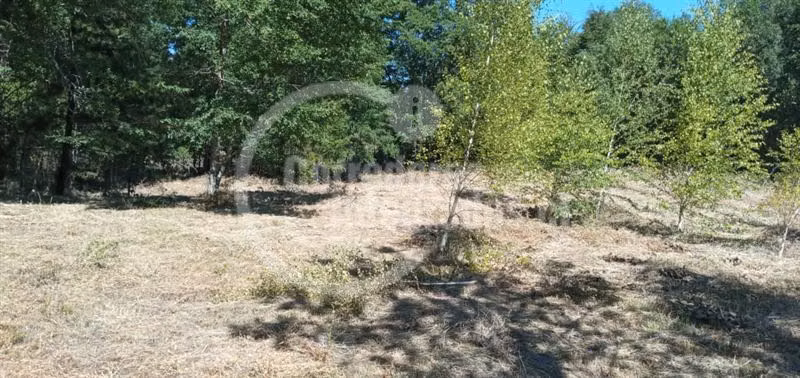 Parcela en venta en Villarrica