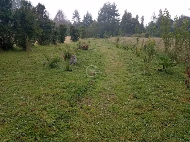 Sitio en venta en Puerto Varas
