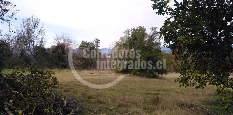Sitio en venta en Villarrica - Imagen 13
