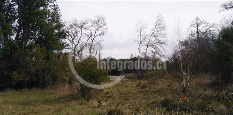 Sitio en venta en Villarrica - Imagen 16