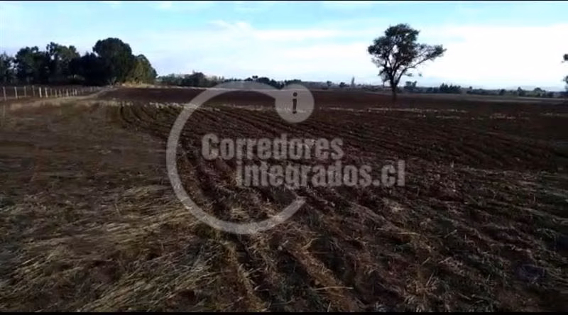 Agrícola en venta en Victoria