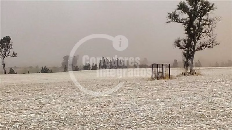 Agrícola en venta en Victoria
