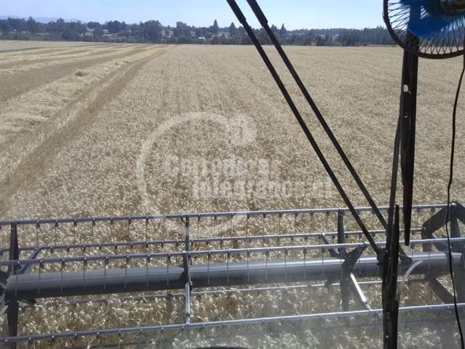 Agrícola en venta en Victoria