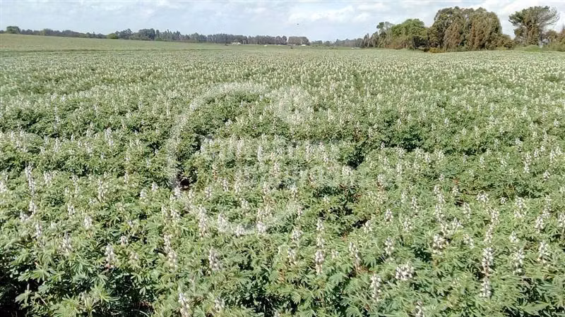 Agrícola en venta en Victoria