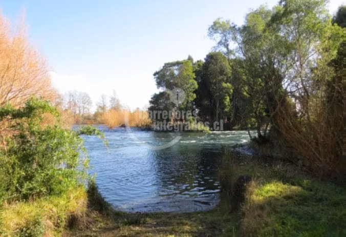 Sitio en venta en Futrono